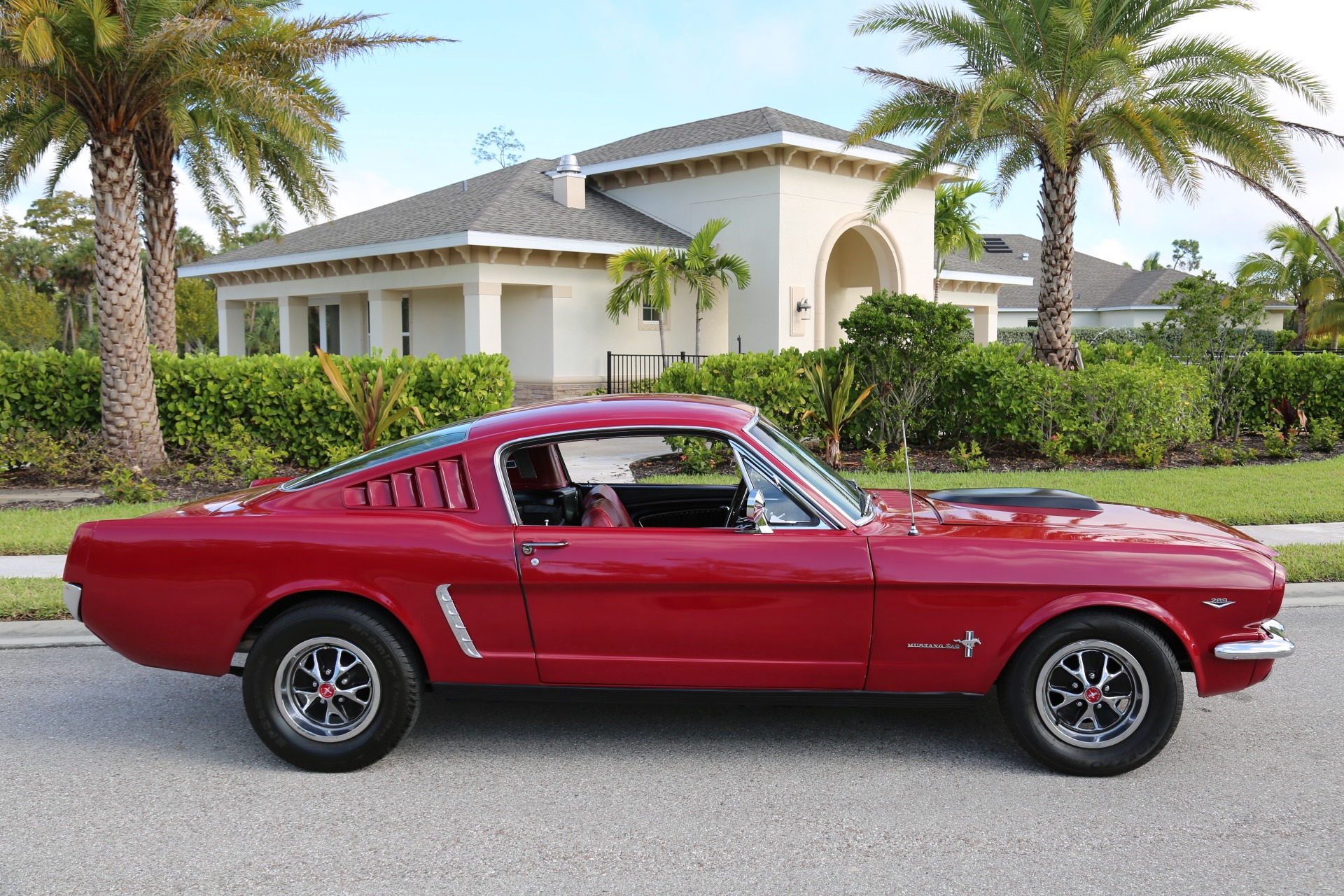 Used 1966 Ford Mustang Fastback 2+2 For Sale ($31,000) | Muscle Cars ...
