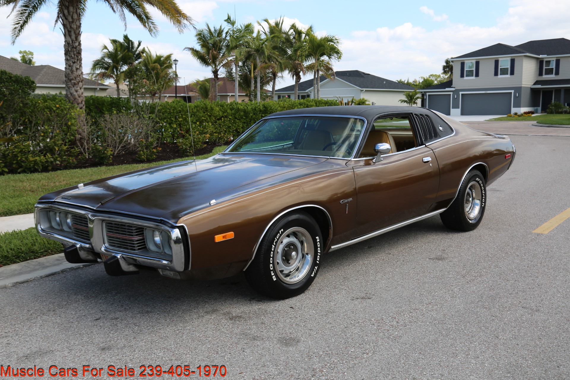 Used 1973 Dodge Charger 500 SE For Sale ($21,000) | Muscle Cars for ...